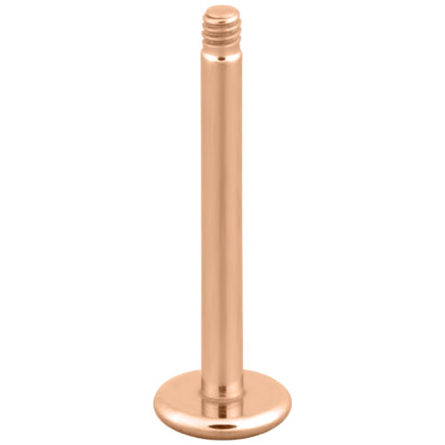 Roségoldenes Labret aus Titan mit Außengewinde auf weißem Hintergrund
