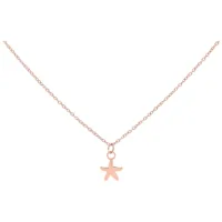 Wildcat Little Starfish Kette Roségold Roségoldene Kette mit einem kleinen Seestern-Anhänger auf weißem Hintergrund