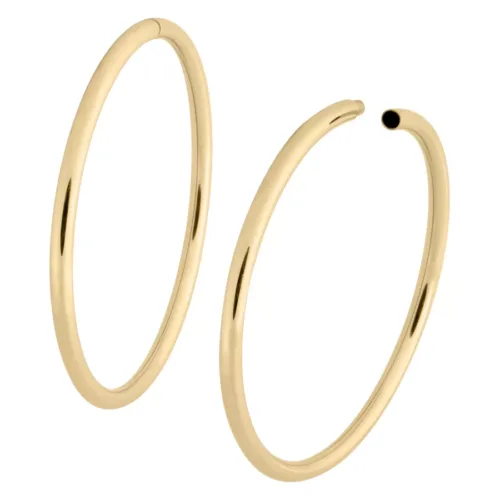 Hollowed Hoops<!--5d64c595b6186--> - Golden Metal