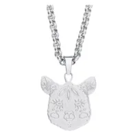 Silberne Alpaka Kette aus Chirurgenstahl Silberne Kette mit Alpaka-Anhänger aus Chirurgenstahl auf weißem Hintergrund