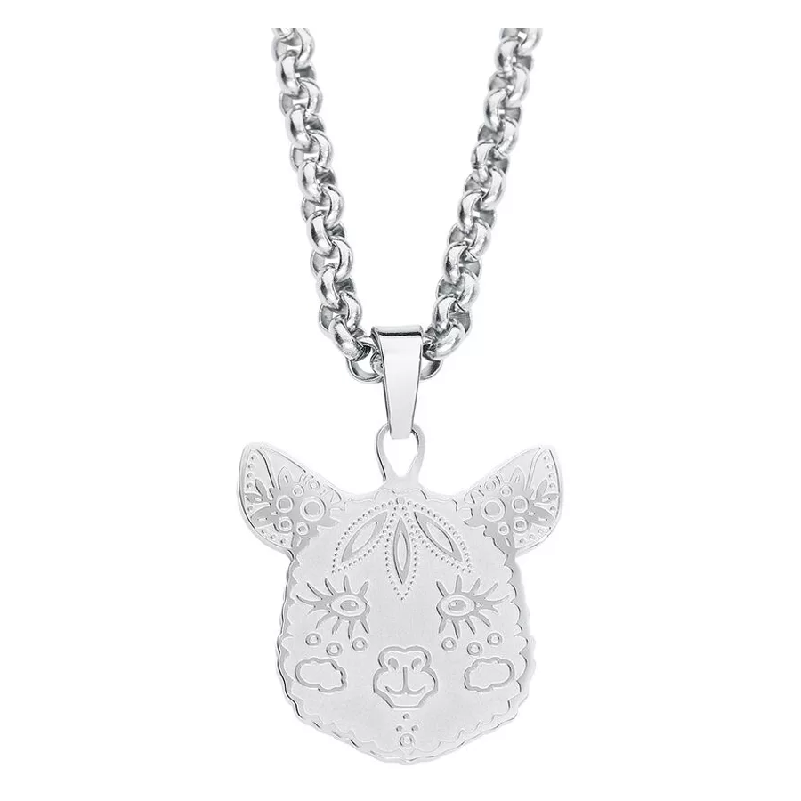 Silberne Alpaka Kette aus Chirurgenstahl Silberne Kette mit Alpaka-Anhänger aus Chirurgenstahl auf weißem Hintergrund