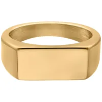 Goldener Siegelring 17,0 mm von Wildcat Rechteckiger goldener Siegelring aus Chirurgenstahl auf weißem Hintergrund