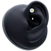 Daisy Micro Bananabell mit Blümchen-Motiv Schwarzes Piercing mit weißer Blume, platziert in einem schwarzen Ohr-Modell