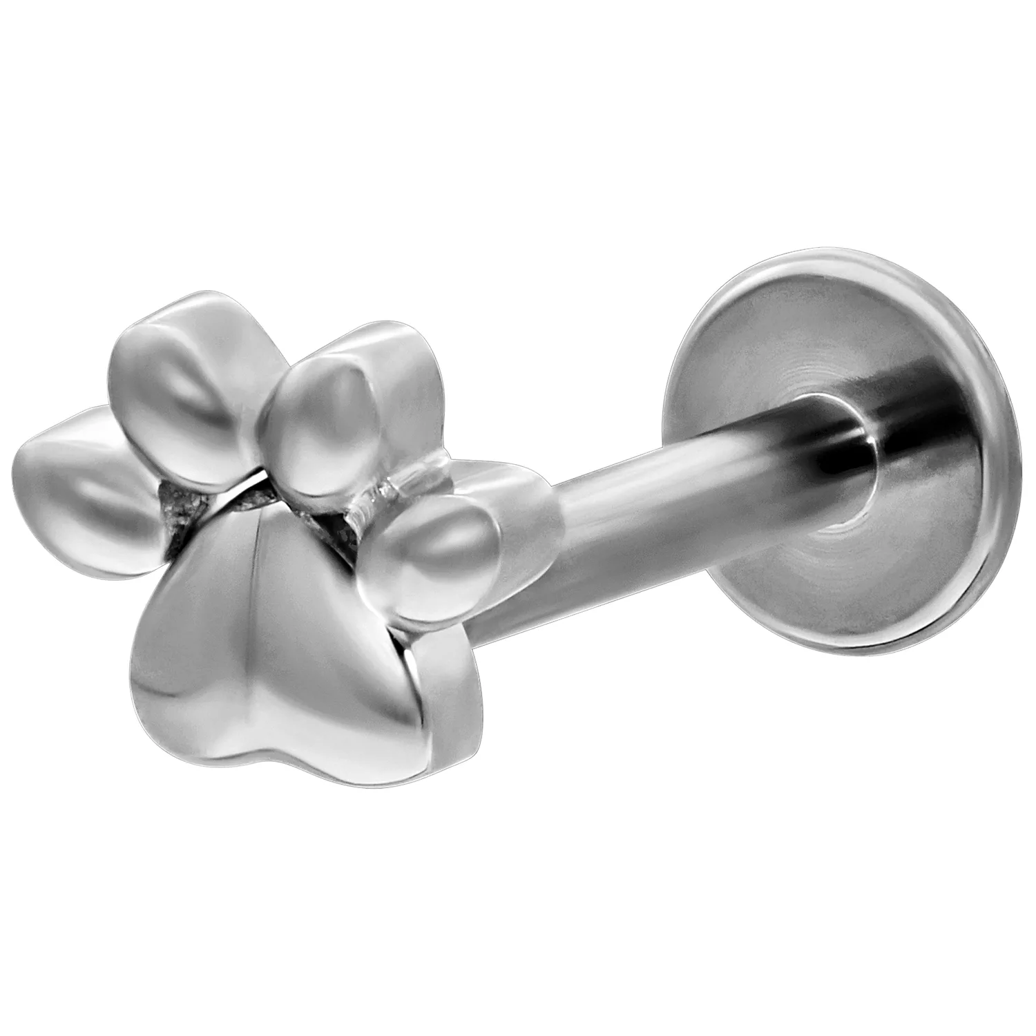 Weißgold Labret mit Kleiner Pfote - 12mm Labret aus Weißgold mit Pfotenmotiv und Push-Fit Verschluss auf weißem Hintergrund