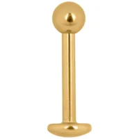 Goldenes Titan Labret Stud Piercing 1,2 mm Goldenes Labret Stud Piercing aus Titan mit Außengewinde auf weißem Hintergrund