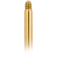 Goldenes Titan Labret mit Außengewinde Goldenes Labret aus Titan mit Außengewinde auf weißem Hintergrund