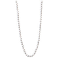 Elegante synthetische Perlenkette in Silber Lange synthetische Perlenkette aus Chirurgenstahl auf weißem Hintergrund