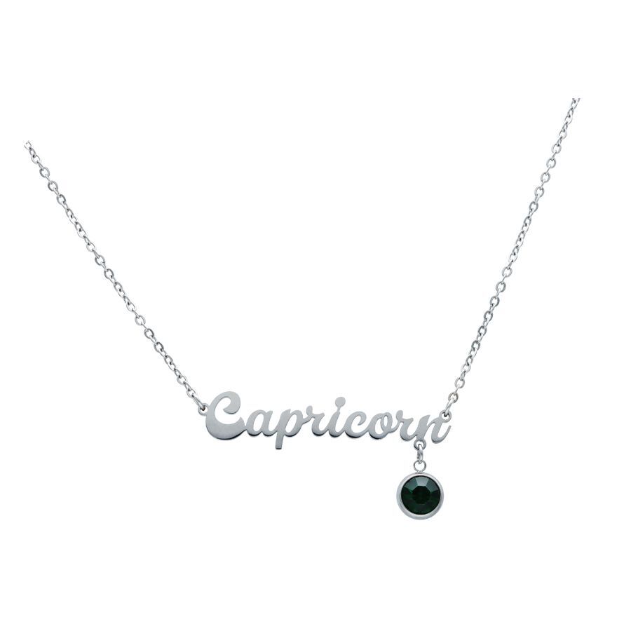 Silberne Capricorn Kette mit Anhänger Silberne Kette mit Capricorn-Schriftzug und schwarzem Anhänger auf weißem Hintergrund