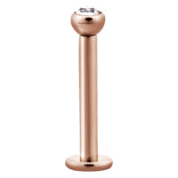 Roségoldenes Labret mit Kristall Roségoldenes Labret aus Chirurgenstahl mit klarem Kristall auf weißem Hintergrund