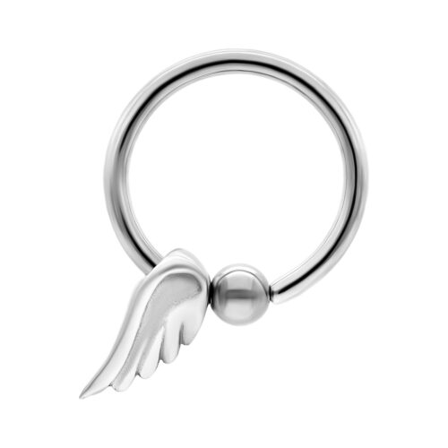 Winged Clip in Ring<!--63ecb86c23e18-->