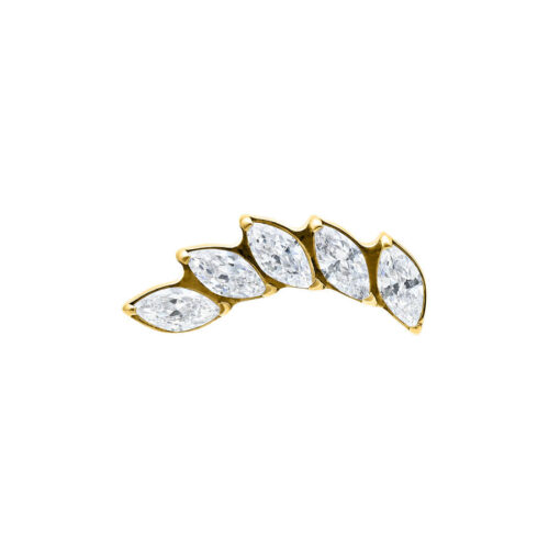 Aphrodite Attachment for Internally Threaded