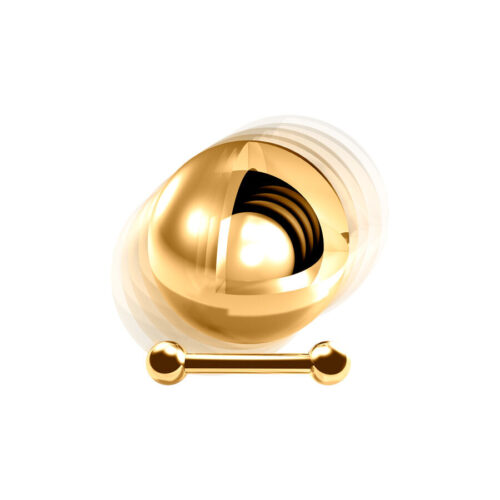 Rattle Barbell-