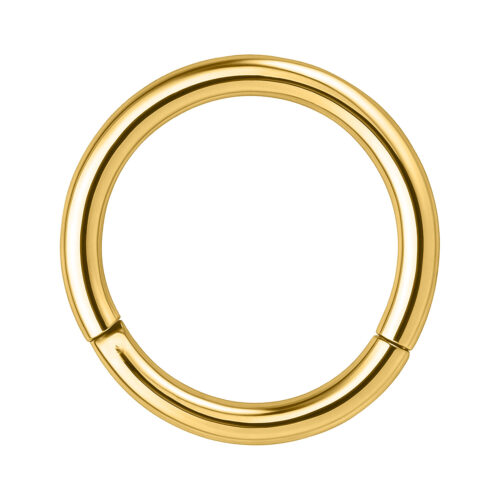 Hinged Segmentring