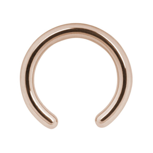 Basic Clip In Ring<!--5ee73026453cb-->