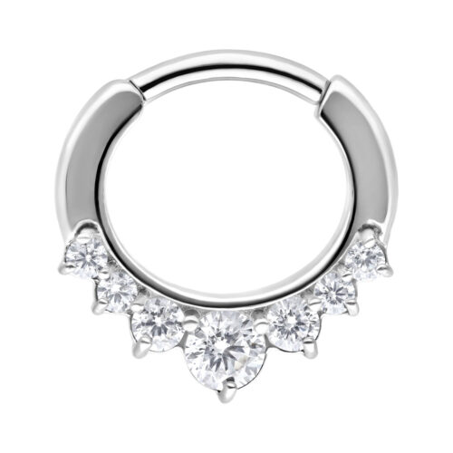 Sparkling Septum Clicker<!--63eccf251f78b-->