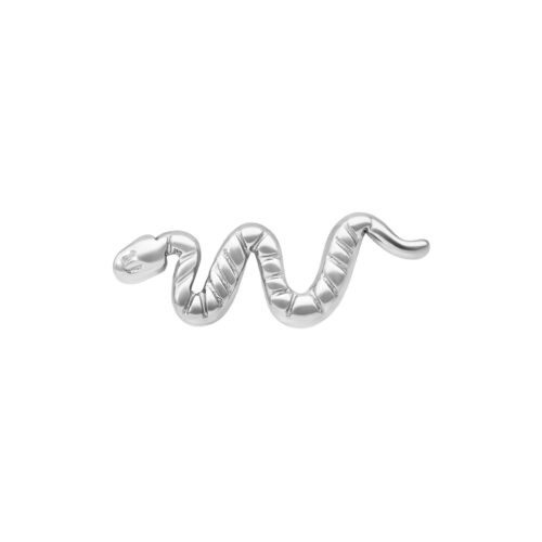 Push Fit Snake Attachment - Silvercoloured Metal