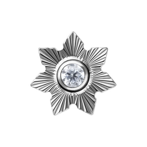 Push Fit Riffled Jasmine Attachment - Silvercoloured Metal