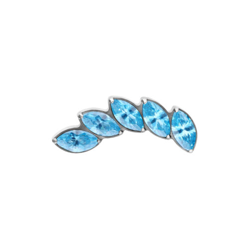Aphrodite Attachment for Internally Threaded