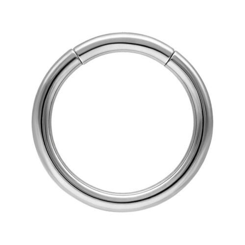 Basic Segmentring<!--62dfb8477ac7b-->