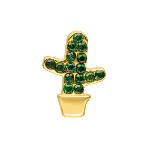 Push Fit Cactus Attachment - Golden Metal