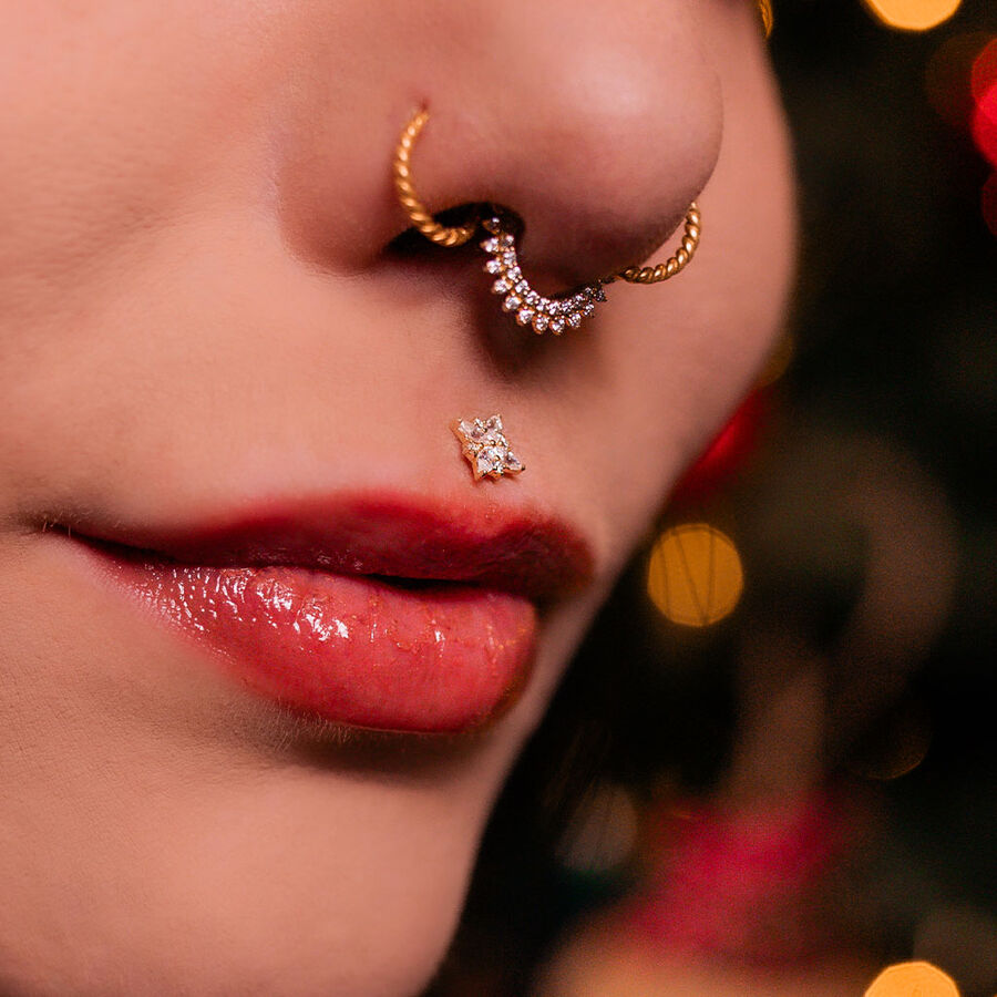 0212202504
